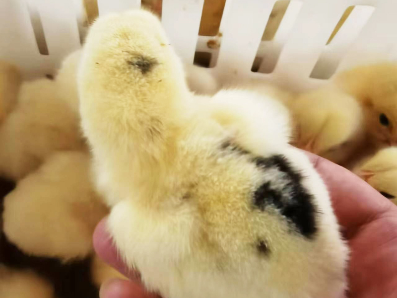 車間實(shí)拍